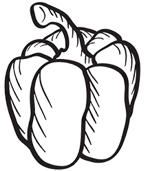 Shape